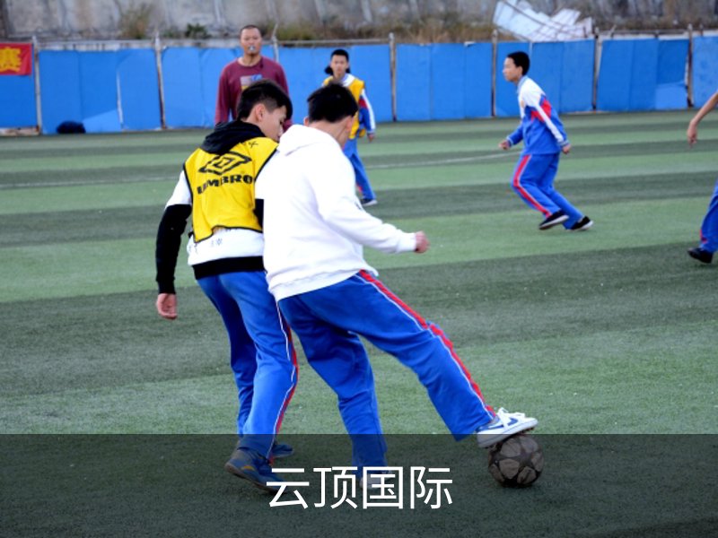云顶国际简介